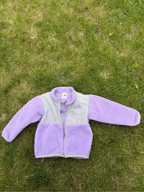 The North Face Lilac and Light Gray Fleece Jacket
